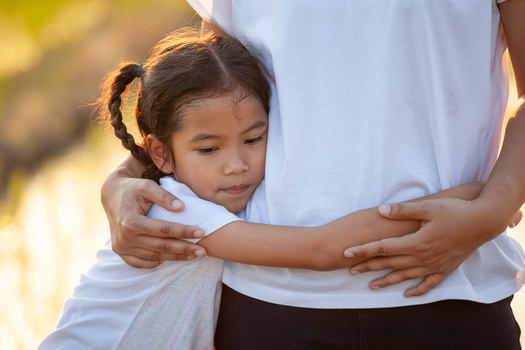 Less than 5% of Arizona's population considers themselves Asian, Native Hawaiian or Pacific Islander, according to the United States Census. (Adobe Stock)