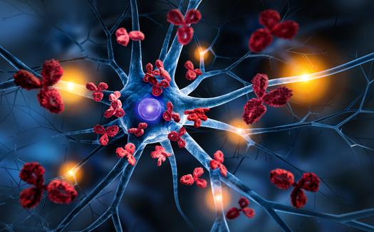 A form of dementia, Alzheimer's disease is primarily caused by the build up of amyloid and tau proteins in the brain. The proteins bind together and cause 
