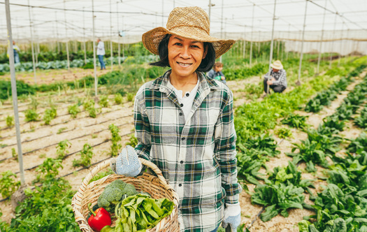 Nearly 20% of Washington's labor force is foreign-born. (DisobeyArt/Adobe Stock) 