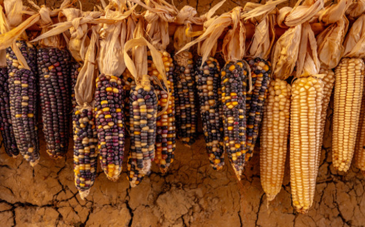 The Food Bank of Wyoming served people across 97,903 square miles and in all 23 counties in 2024, according to the organization's impact report. (Adobe Stock)