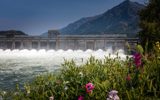 The Bonneville Dam is located on the Columbia River near Cascade Locks, Oregon. (Martina/Adobe Stock)