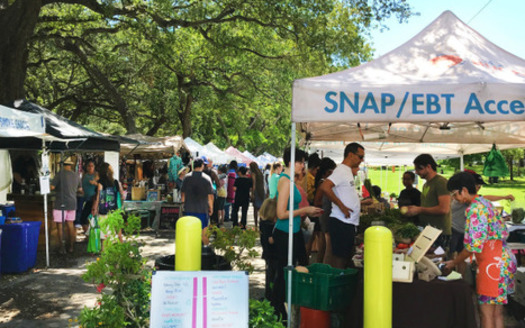 Analysts with UnidosUS say the $23 billion average annual SNAP cut under the House budget resolution would be more than three times the size of the largest previous cut ever made to the food-assistance program. (Photo courtesy Farmers Market Coalition)