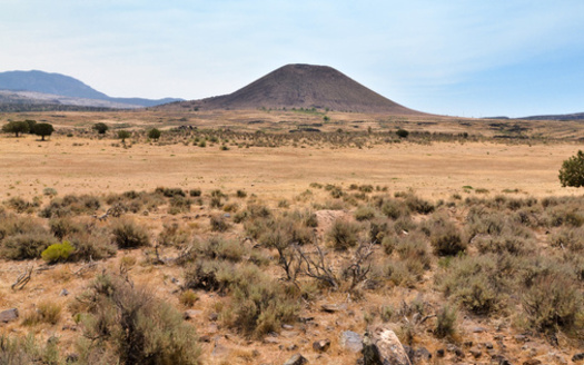 "This provision identifies specific lands where we can generate revenue in locations that are appropriate, that will also generate a strong financial yield to the Treasury due to local growth and will do so while serving community public purposes," said Rep. Celeste Maloy, R-UT. (Adobe Stock)